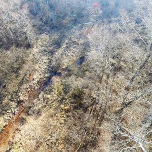 Photo of SOLD!  43 Acres of Recreational Land For Sale in Nottoway County VA!