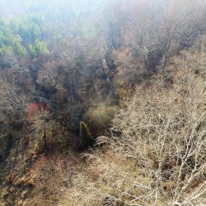 Photo of SOLD!  43 Acres of Recreational Land For Sale in Nottoway County VA!
