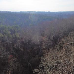 Photo of SOLD!  43 Acres of Recreational Land For Sale in Nottoway County VA!