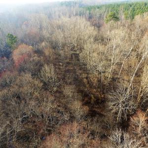 Photo of SOLD!  43 Acres of Recreational Land For Sale in Nottoway County VA!