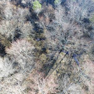 Photo of SOLD!  43 Acres of Recreational Land For Sale in Nottoway County VA!
