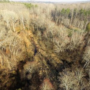 Photo of SOLD!  43 Acres of Recreational Land For Sale in Nottoway County VA!
