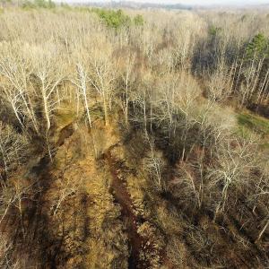 Photo of SOLD!  43 Acres of Recreational Land For Sale in Nottoway County VA!