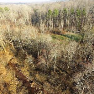 Photo of SOLD!  43 Acres of Recreational Land For Sale in Nottoway County VA!