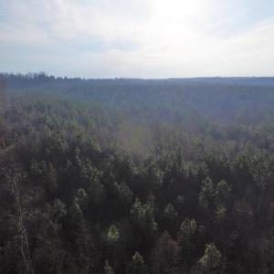 Photo of SOLD!  43 Acres of Recreational Land For Sale in Nottoway County VA!