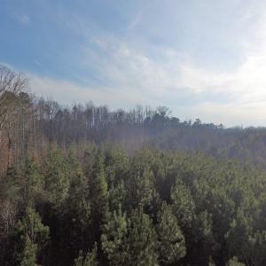 Photo of SOLD!  43 Acres of Recreational Land For Sale in Nottoway County VA!