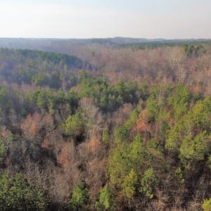 Photo of SOLD!  43 Acres of Recreational Land For Sale in Nottoway County VA!