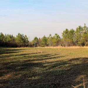 Photo of SOLD!  43 Acres of Recreational Land For Sale in Nottoway County VA!
