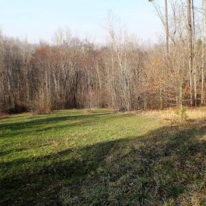 Photo of SOLD!  43 Acres of Recreational Land For Sale in Nottoway County VA!
