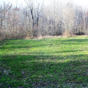 Photo of SOLD!  43 Acres of Recreational Land For Sale in Nottoway County VA!