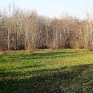 Photo of SOLD!  43 Acres of Recreational Land For Sale in Nottoway County VA!