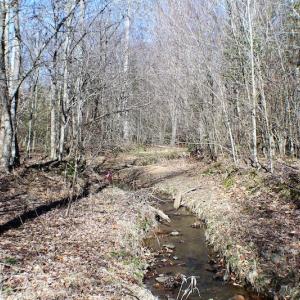 Photo of UNDER CONTRACT!  23.9 Acres of Recreational Land For Sale in Goochland Co VA!