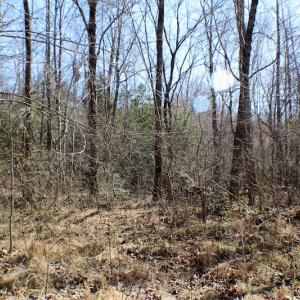 Photo of UNDER CONTRACT!  23.9 Acres of Recreational Land For Sale in Goochland Co VA!