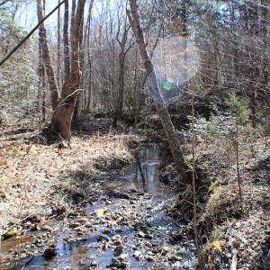 Photo of UNDER CONTRACT!  23.9 Acres of Recreational Land For Sale in Goochland Co VA!
