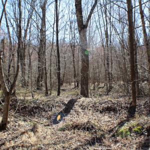 Photo of UNDER CONTRACT!  23.9 Acres of Recreational Land For Sale in Goochland Co VA!