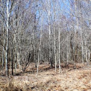 Photo of UNDER CONTRACT!  23.9 Acres of Recreational Land For Sale in Goochland Co VA!