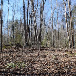 Photo of UNDER CONTRACT!  23.9 Acres of Recreational Land For Sale in Goochland Co VA!
