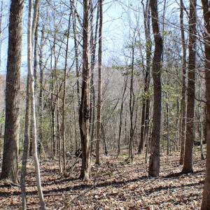 Photo of UNDER CONTRACT!  23.9 Acres of Recreational Land For Sale in Goochland Co VA!