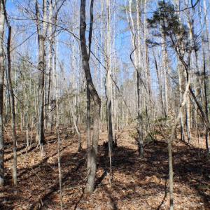 Photo of UNDER CONTRACT!  23.9 Acres of Recreational Land For Sale in Goochland Co VA!