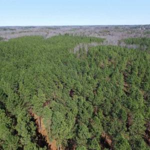 Photo of 45.55 Acres of Recreational Land For Sale in Mecklenburg Co VA!