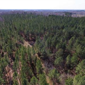 Photo of 45.55 Acres of Recreational Land For Sale in Mecklenburg Co VA!