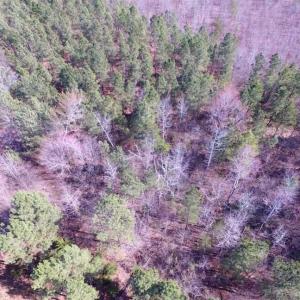 Photo of 45.55 Acres of Recreational Land For Sale in Mecklenburg Co VA!