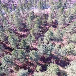 Photo of 45.55 Acres of Recreational Land For Sale in Mecklenburg Co VA!