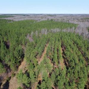 Photo of 45.55 Acres of Recreational Land For Sale in Mecklenburg Co VA!