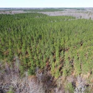 Photo of 45.55 Acres of Recreational Land For Sale in Mecklenburg Co VA!