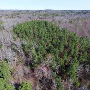 Photo of 45.55 Acres of Recreational Land For Sale in Mecklenburg Co VA!
