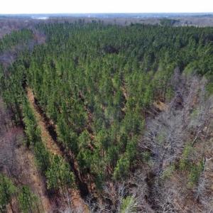 Photo of 45.55 Acres of Recreational Land For Sale in Mecklenburg Co VA!