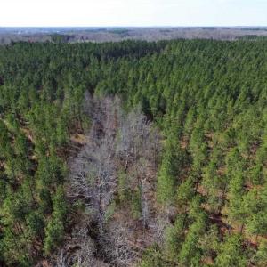 Photo of 45.55 Acres of Recreational Land For Sale in Mecklenburg Co VA!