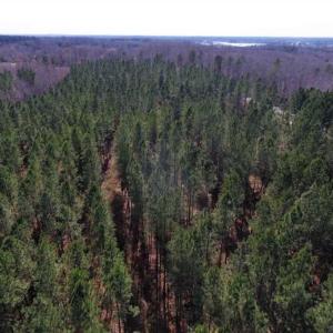 Photo of 45.55 Acres of Recreational Land For Sale in Mecklenburg Co VA!