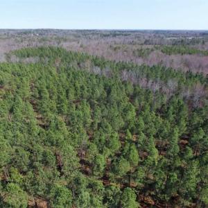 Photo of 45.55 Acres of Recreational Land For Sale in Mecklenburg Co VA!