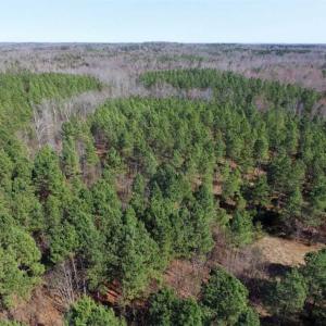 Photo of 45.55 Acres of Recreational Land For Sale in Mecklenburg Co VA!