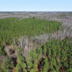 Photo of 45.55 Acres of Recreational Land For Sale in Mecklenburg Co VA!