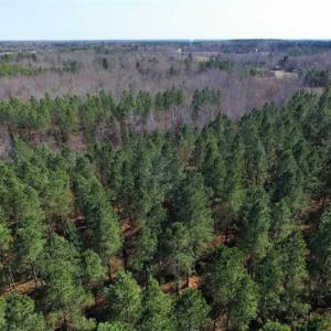 Photo of 45.55 Acres of Recreational Land For Sale in Mecklenburg Co VA!