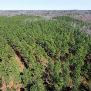 Photo of 45.55 Acres of Recreational Land For Sale in Mecklenburg Co VA!
