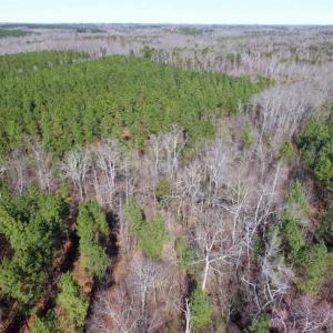 Photo of 45.55 Acres of Recreational Land For Sale in Mecklenburg Co VA!