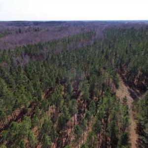 Photo of 45.55 Acres of Recreational Land For Sale in Mecklenburg Co VA!