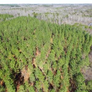 Photo of 45.55 Acres of Recreational Land For Sale in Mecklenburg Co VA!