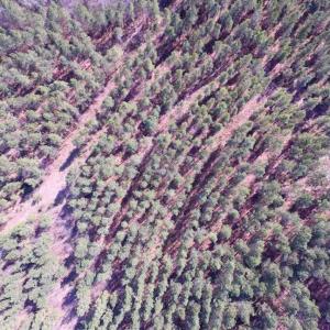 Photo of 45.55 Acres of Recreational Land For Sale in Mecklenburg Co VA!