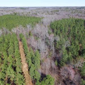 Photo of 45.55 Acres of Recreational Land For Sale in Mecklenburg Co VA!