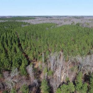 Photo of 45.55 Acres of Recreational Land For Sale in Mecklenburg Co VA!