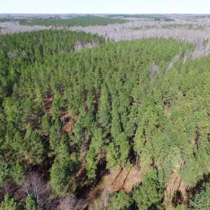 Photo of 45.55 Acres of Recreational Land For Sale in Mecklenburg Co VA!