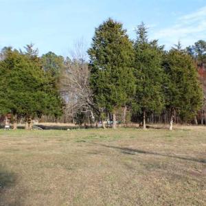 Photo of SOLD!  4.24 Acres of Residential Land For Sale in Brunswick County VA!