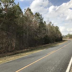 Photo of UNDER CONTRACT!  90 Acres of Timber and Hunting Land For Sale in Columbus County NC!
