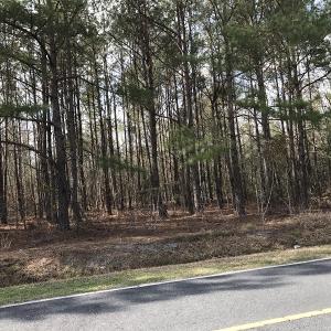 Photo of UNDER CONTRACT!  90 Acres of Timber and Hunting Land For Sale in Columbus County NC!