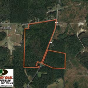 Photo of UNDER CONTRACT!  90 Acres of Timber and Hunting Land For Sale in Columbus County NC!