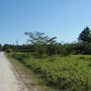 Photo of UNDER CONTRACT!  3.36 Acre Lot For Sale in Columbus County NC!